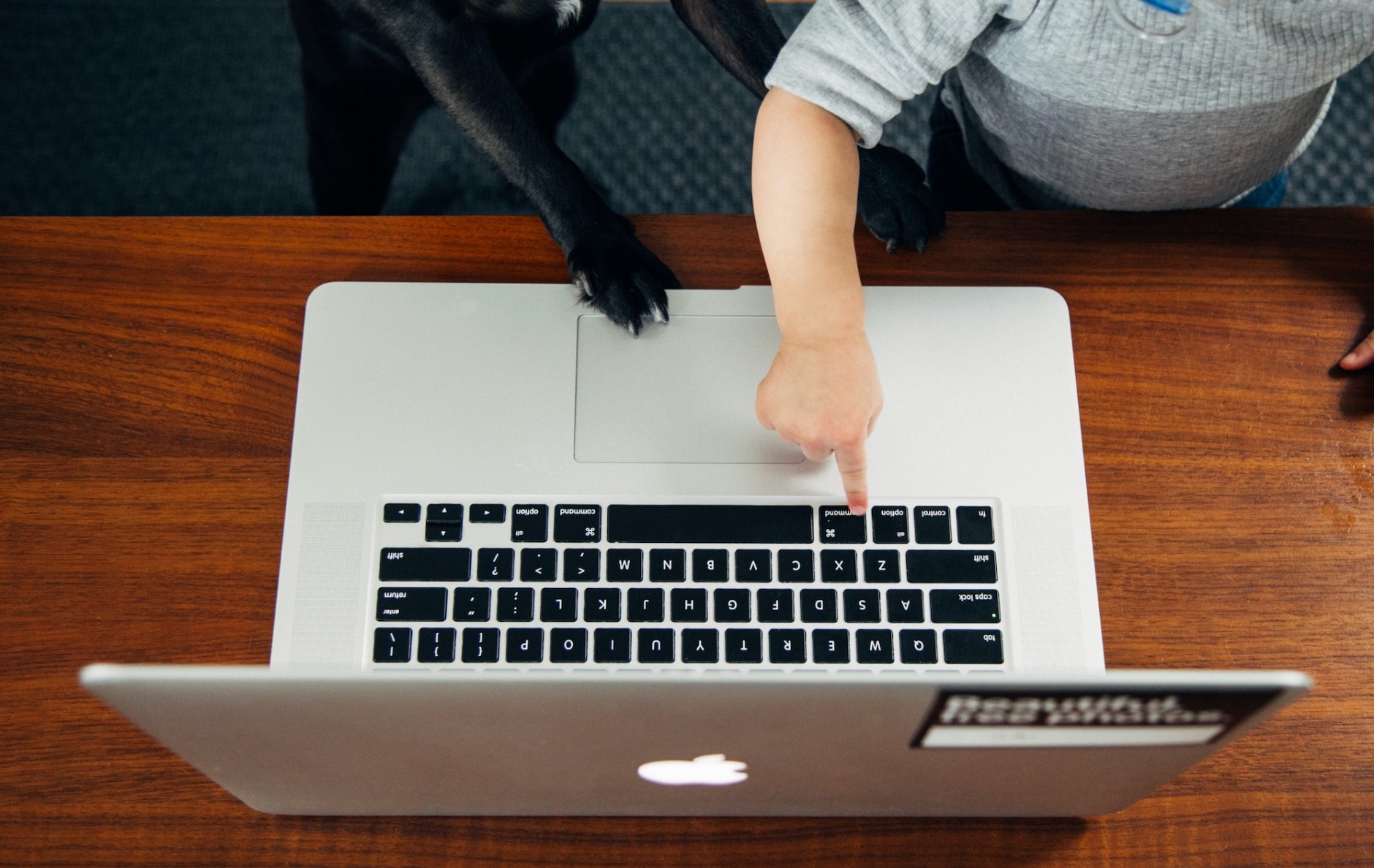 Working from home at a laptop
