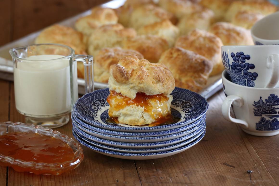 Maggie Beer Recipe Scone With Apricot Jam